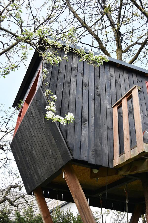 Lesnavesna Designer Apartment With A Garden Visoko  Exteriör bild